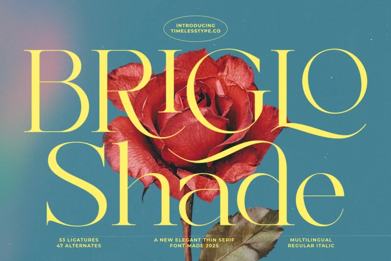  free font download | freefont Pro